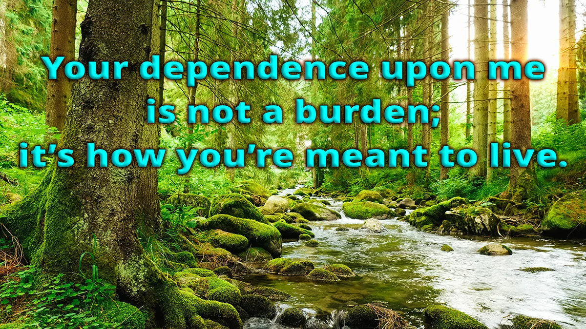 Forest stream image, Your dependence upon me is not a burden; it's how you're meant to live.