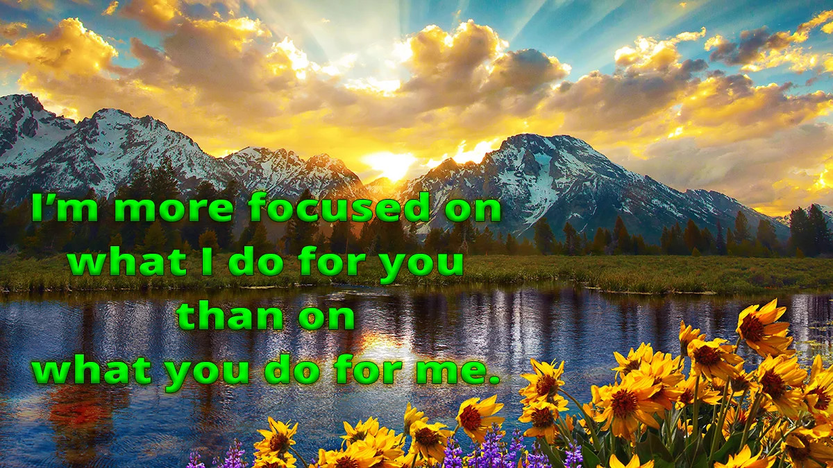 Lake flowers sunset image, I'm more focused on what I do for you than on what you do for me.