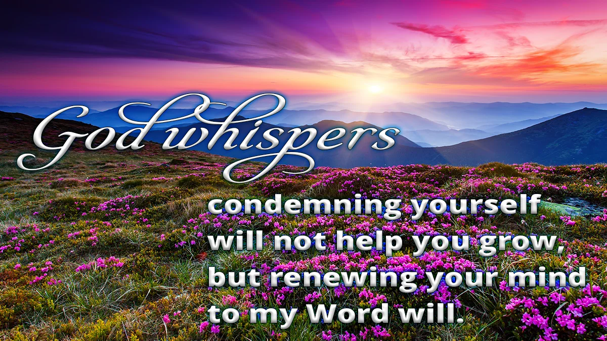 Mountain flowers at sunset image, God whispers condemning yourself will not help you grow, but renewing your mind to my Word will.
